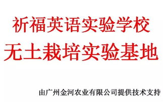 校企攜手，共繪軟件技術教育新篇章