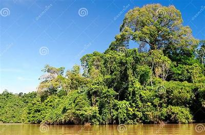 《斗仙界》0.1折手游新體驗(yàn) 爽快世界，代理開(kāi)發(fā)新機(jī)遇